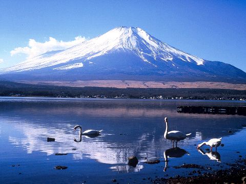 gunung fuji