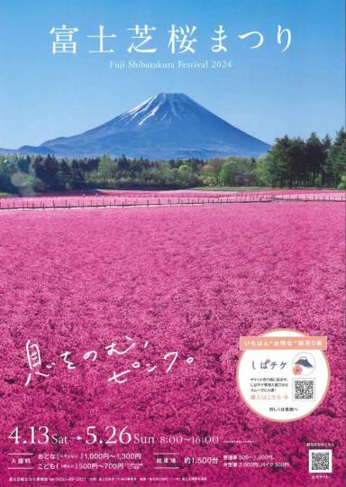 富士芝桜まつり2024