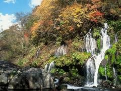 川俣渓谷 吐竜の滝の紅葉5