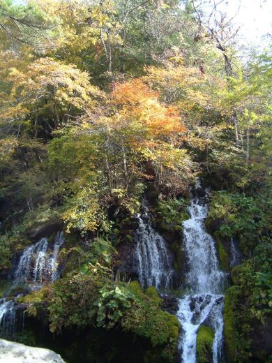 川俣渓谷 吐竜の滝の紅葉2