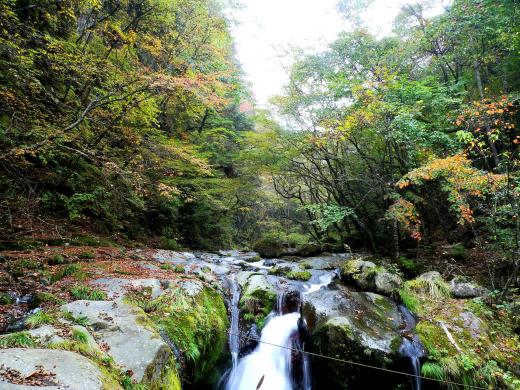 川俣渓谷 吐竜の滝の紅葉4