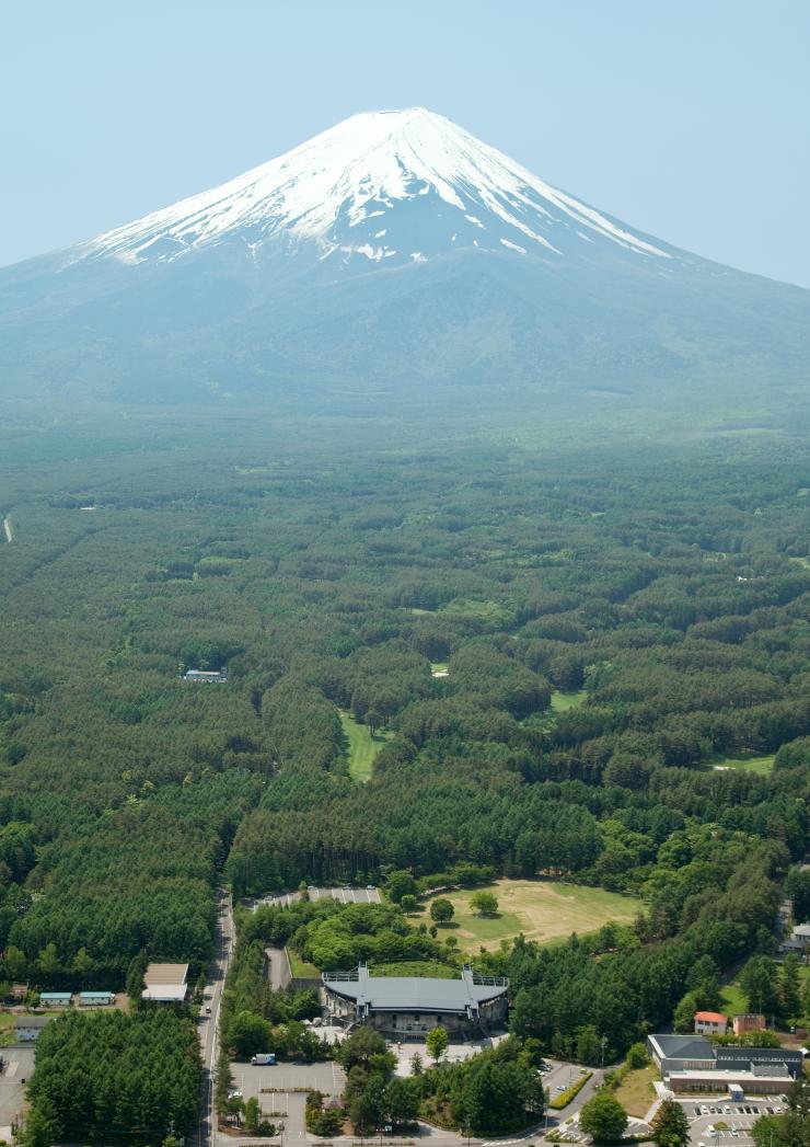 ステラ富士山