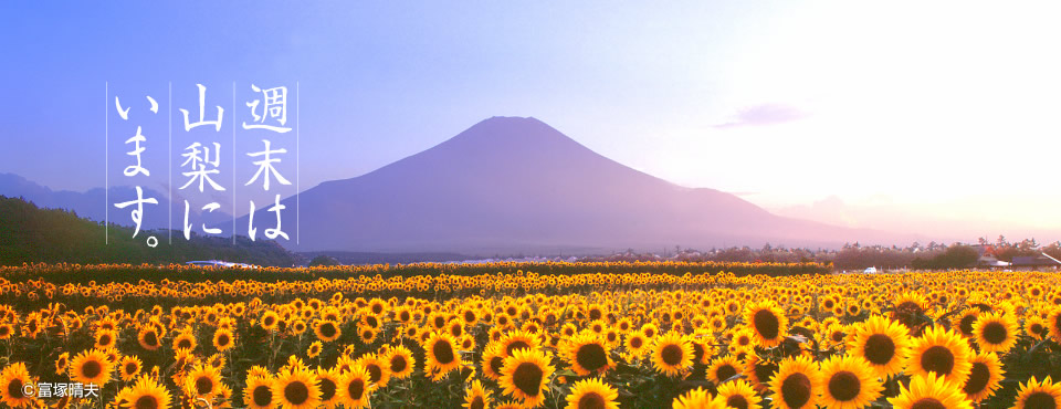 週末は山梨にいます。
