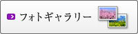 フォトギャラリー