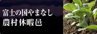 富士の国やまなし 農村休暇邑
