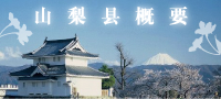 山梨县概要