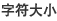 字符大小
