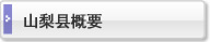 山梨?概要