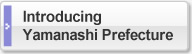 Introducing Yamanashi Prefecture