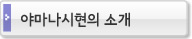 야마나시현의 소개