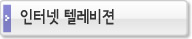 인터넷 텔레비전