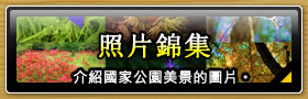 照片錦集 介紹國家公園美景的圖片。