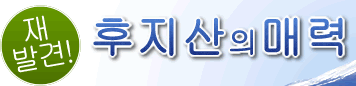 재발견!후지산의매력