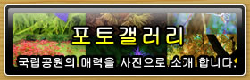 포토갤러리 국립공원의 매력을 사진으로 소개 합니다.