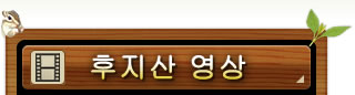 후지산 영상