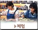 체험