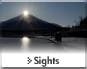 Sights