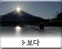 보다
