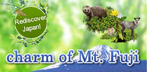 charm of Mt. fuji
