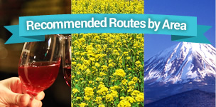 Recommended Routes by Area