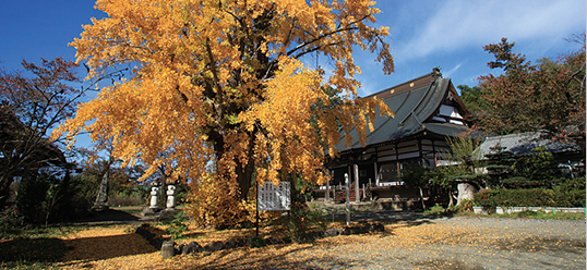 Enraku-ji Temple
