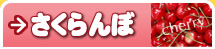 さくらんぼ