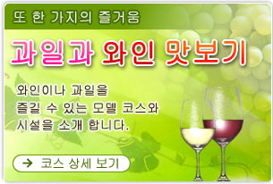 또 한 가지의 즐거움 과일과 와인 맛보기
