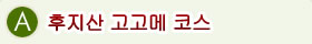 A.후지산 고고메 코스