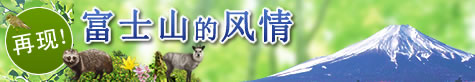 再现！富士山的风情