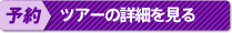 予約 このツアーの詳細を見る