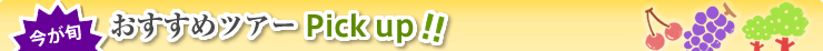 今が旬 おすすめツアー Pick up!!