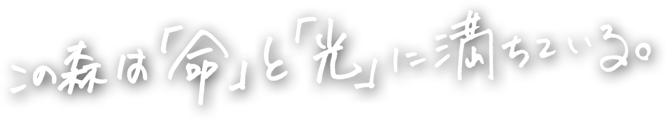 この森は「命」と「光」に満ちている。