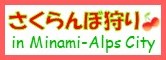 minamialps
