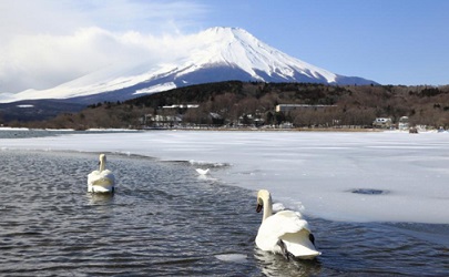 山中湖