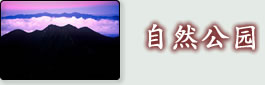 自然公园