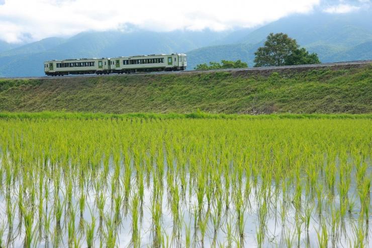 kiyosato_transportation_201907_02