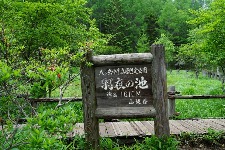 kiyosato trekking 201907-10