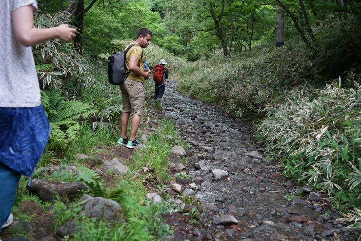 kiyosato trekking 201907-14