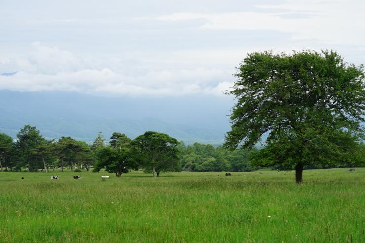 kiyosato trekking 201907-18