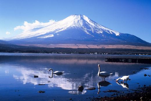 Lake Yamanakako/Official Travel Guide Yamanashi