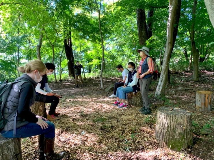 Kintsugi and Wabi-Sabi — An Darach Forest Therapy