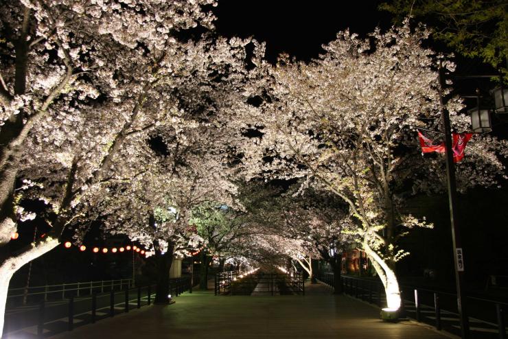 onsen yamanashi 2019-05