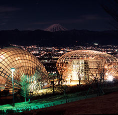 笛吹川フルーツ公園