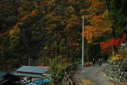 紅葉した山々【早川町奈良田付近】_02