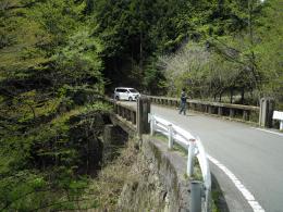 矢立の杉01
