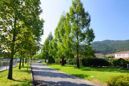 山梨英和大学1