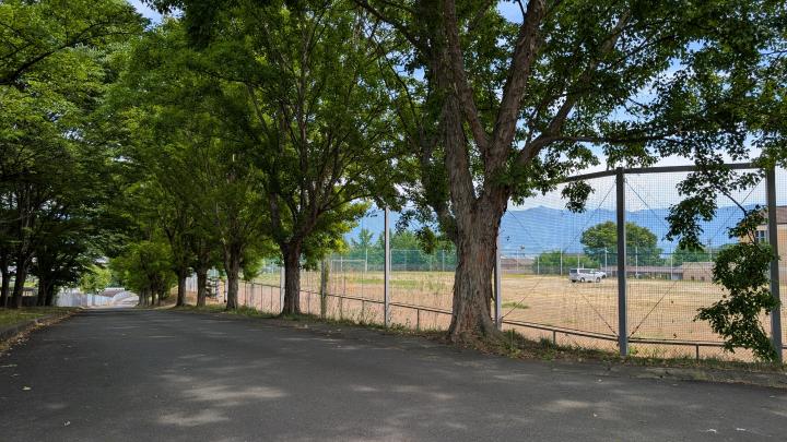 山梨英和大学3