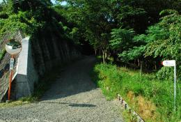 八重山ハイキングコース1