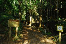 八重山ハイキングコース2