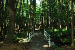 八重山ハイキングコース3